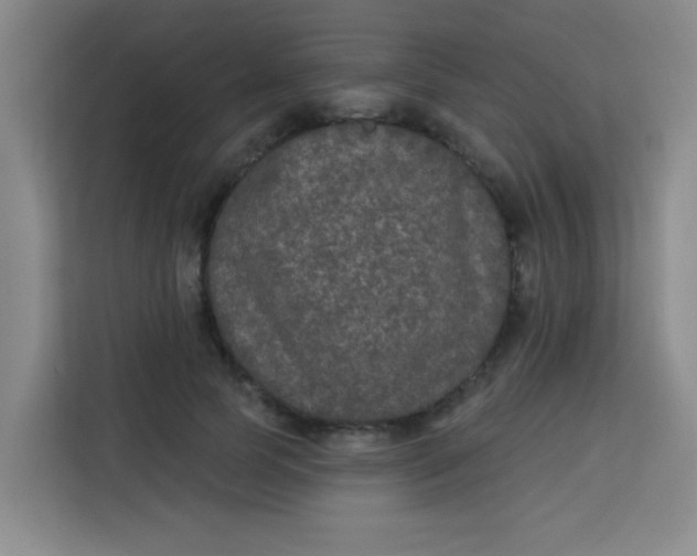 X0000113280745200910051040