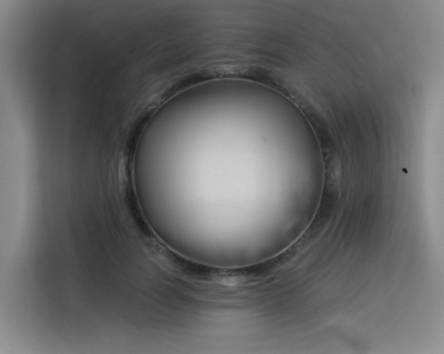 X0000113280746200910051040