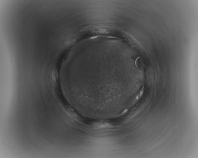 X0000113280747200910051040