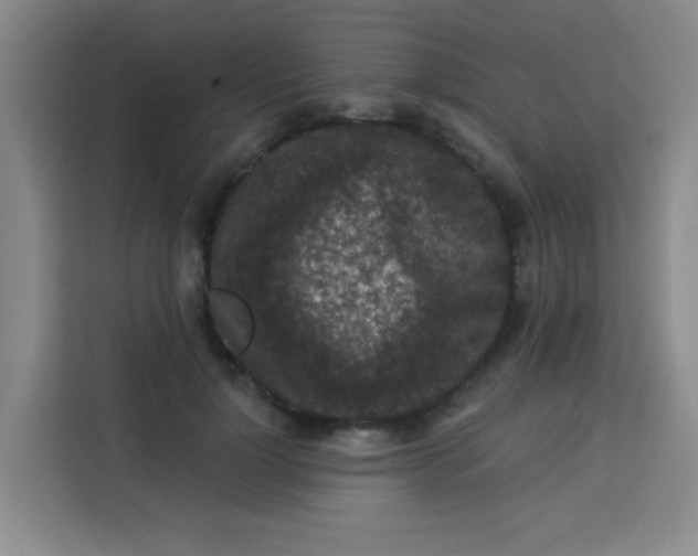 X0000113280748200910051040