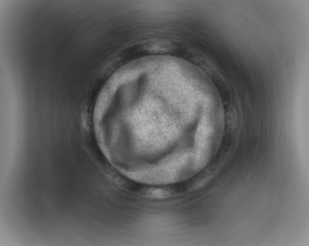 X0000113280755200910051040