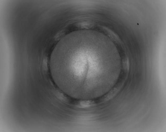 X0000113280757200910051040