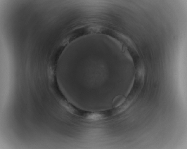 X0000113280759200910051040