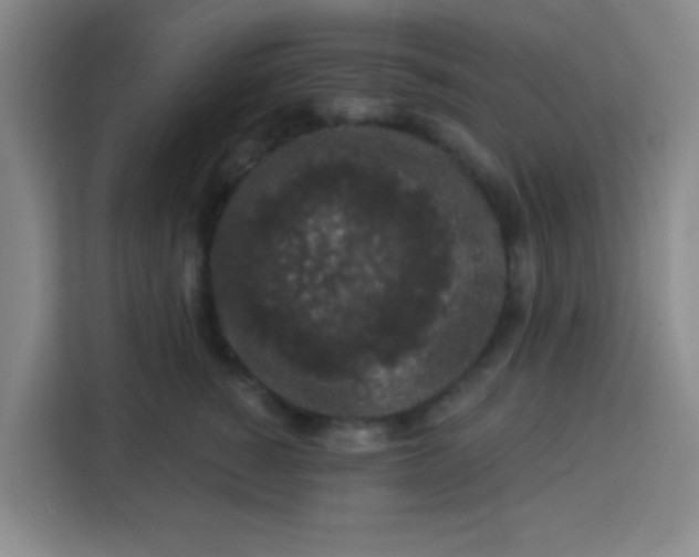 X0000113280760200910051040