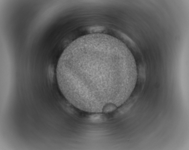 X0000113280761200910051040