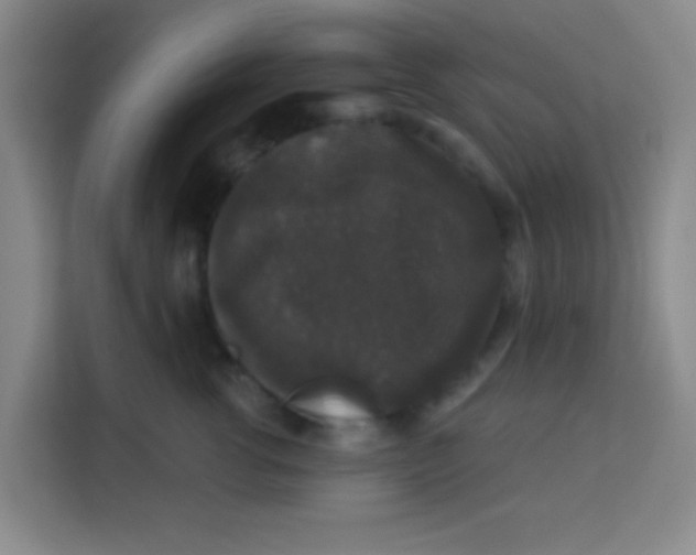 X0000113280762200910051040