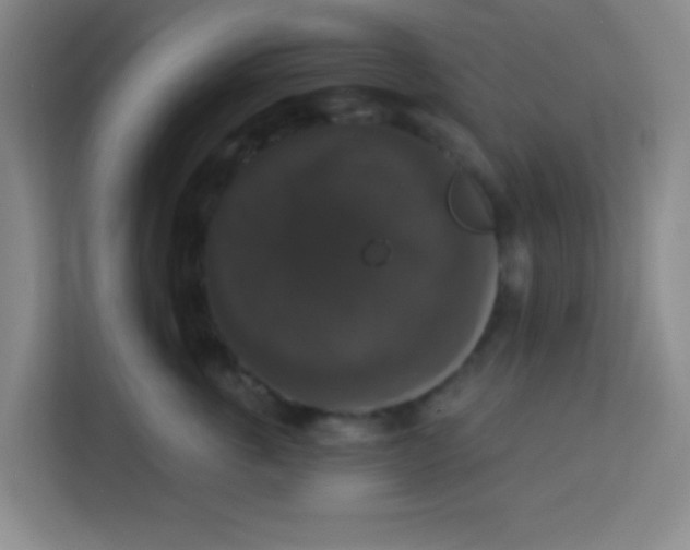 X0000113280763200910051040