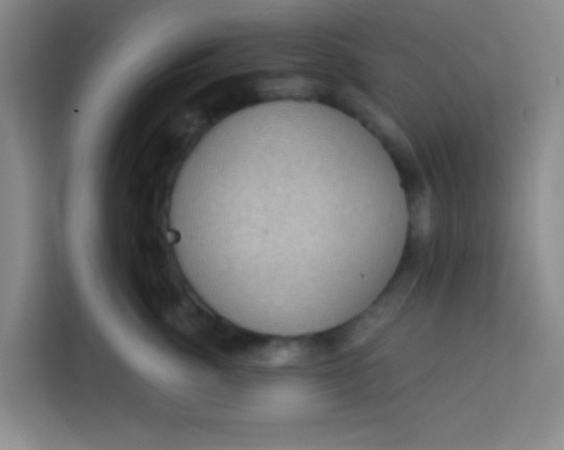 X0000113280764200910051040