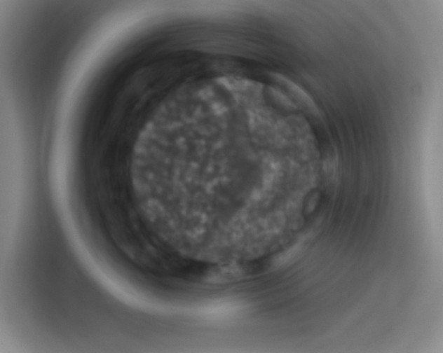 X0000113280765200910051040