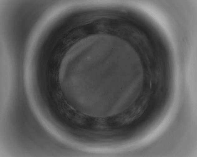 X0000113280766200910051040