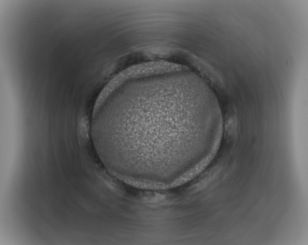 X0000113280772200910051040