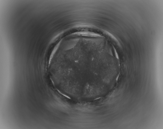 X0000113280775200910051039