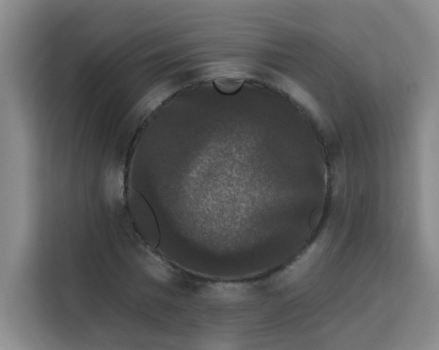 X0000113280777200910051039