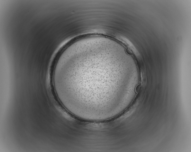 X0000113280780200910051039