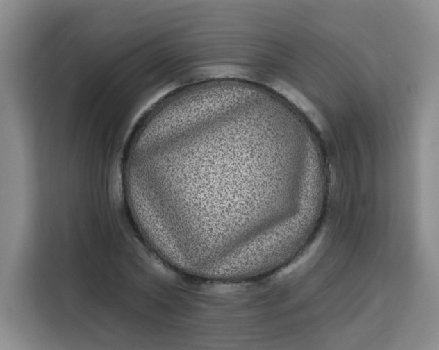 X0000113280782200910051039