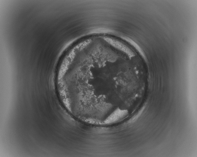 X0000113280783200910051039