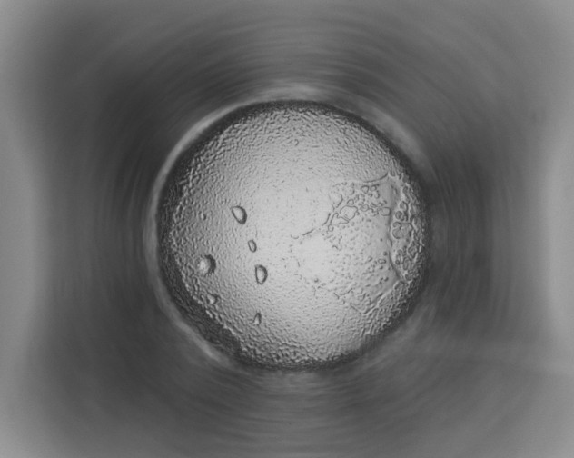 X0000113280784200910051039