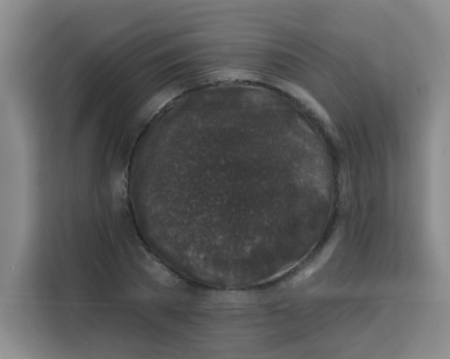 X0000113280785200910051039