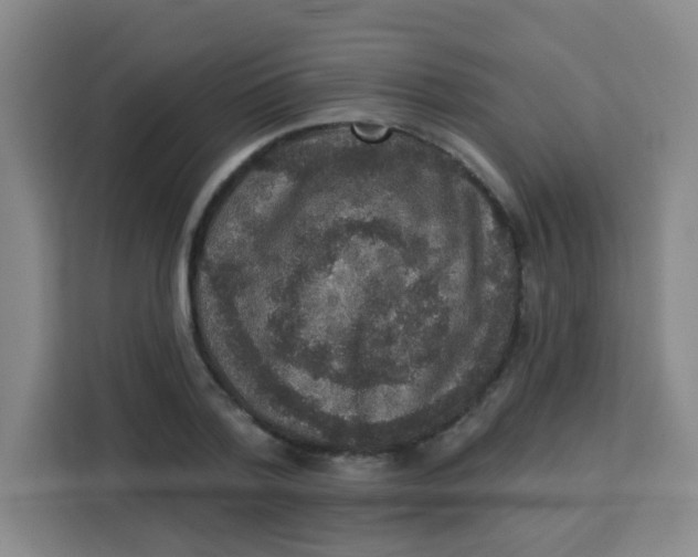 X0000113280788200910051039