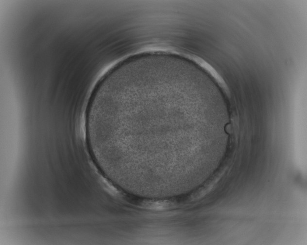 X0000113280791200910051039