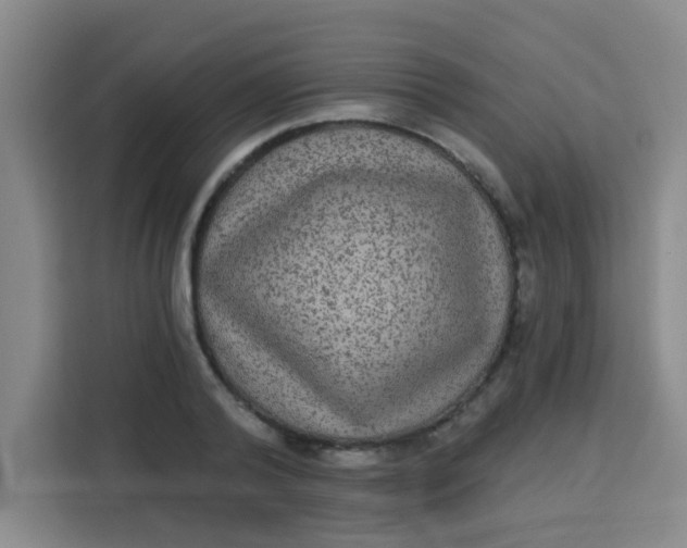 X0000113280792200910051039