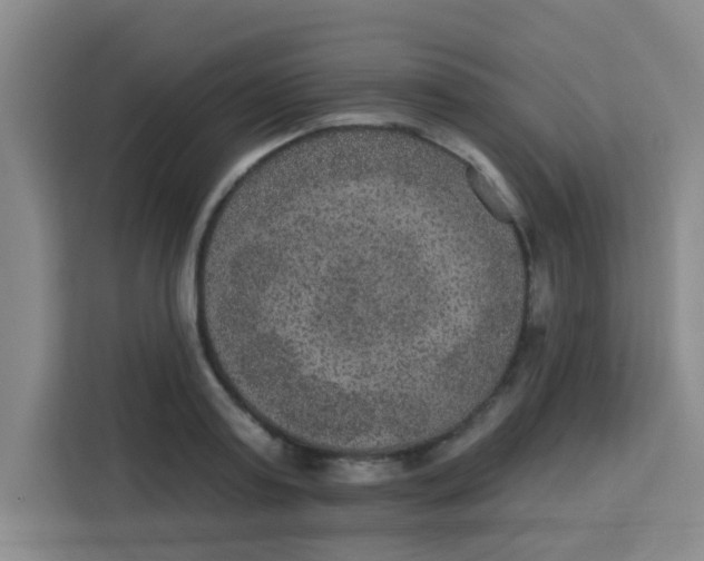 X0000113280795200910051039