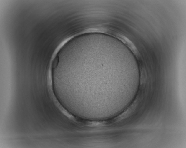 X0000113280796200910051039