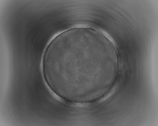 X0000113280803200910051039