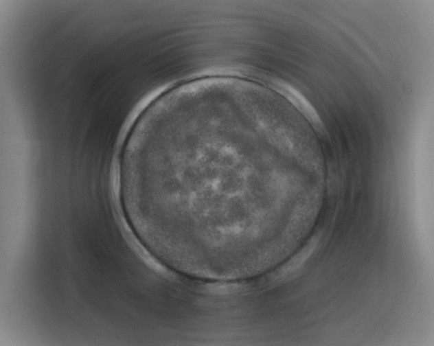 X0000113280804200910051039