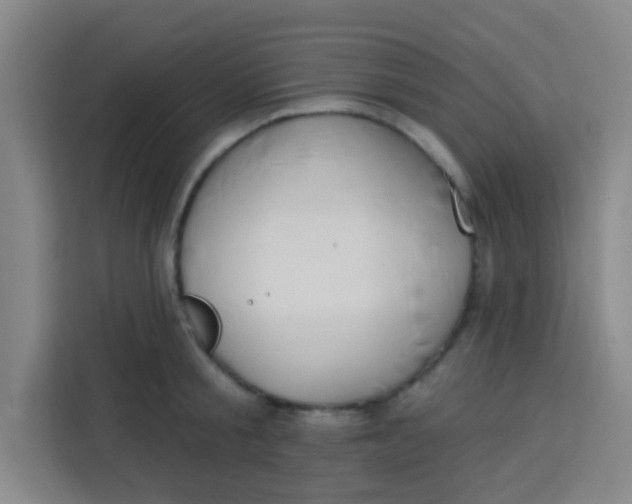 X0000113280805200910051039