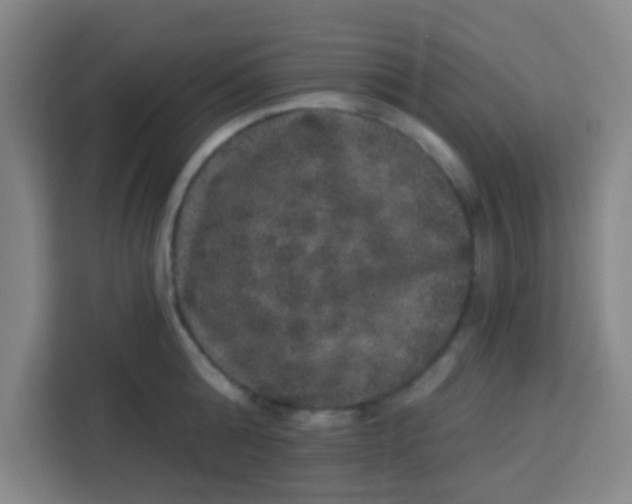 X0000113280808200910051039