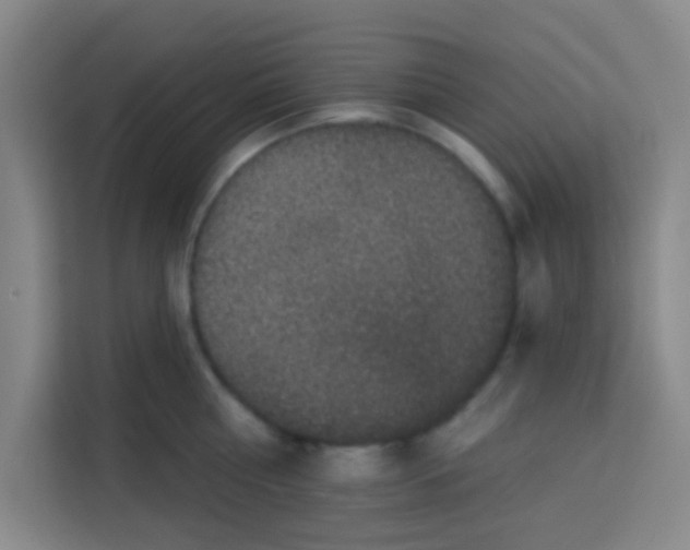 X0000113280810200910051039