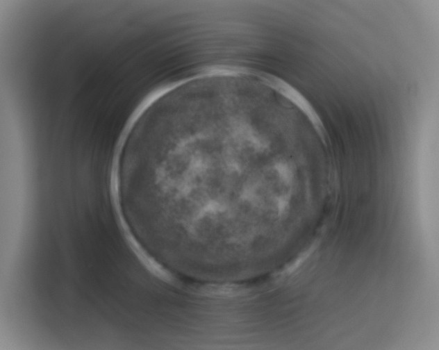 X0000113280811200910051039