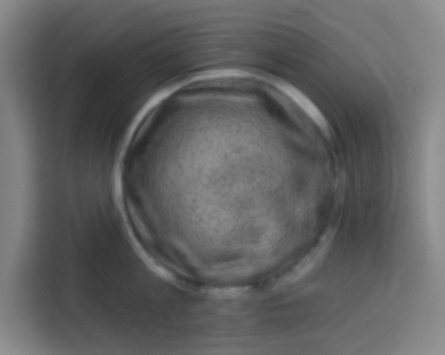 X0000113280813200910051039