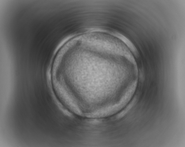 X0000113280814200910051039