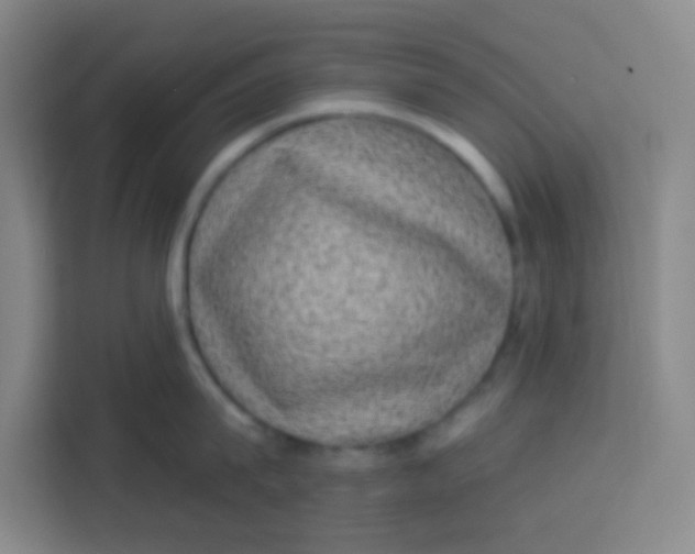 X0000113280815200910051039