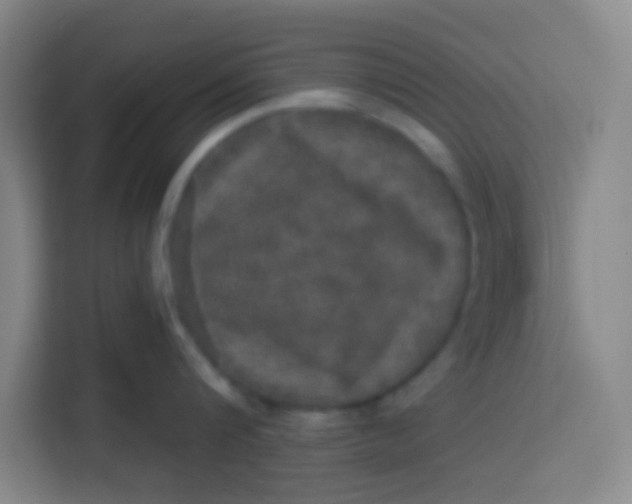 X0000113280816200910051039