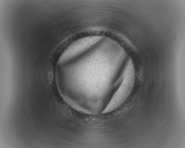 X0000113280821200910051038