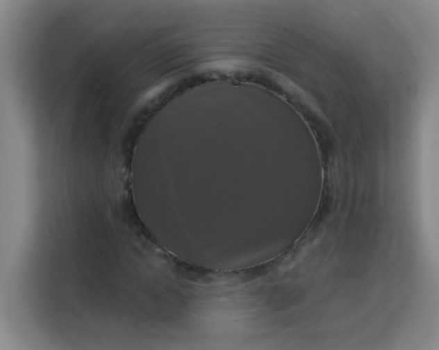 X0000113280822200910051038