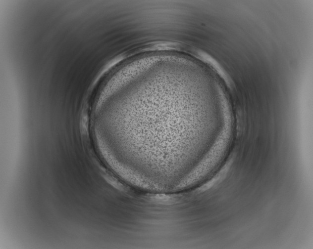 X0000113280827200910051038