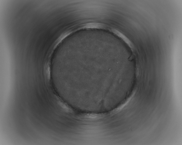 X0000113280829200910051038