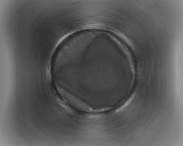 X0000113280830200910051038