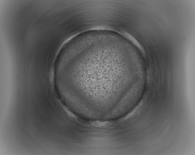 X0000113280831200910051039