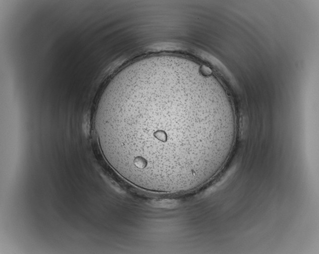 X0000113280833200910051039