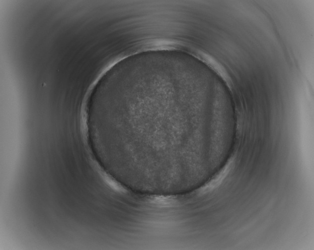 X0000113280835200910051039