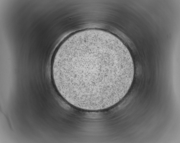 X0000113280836200910051039