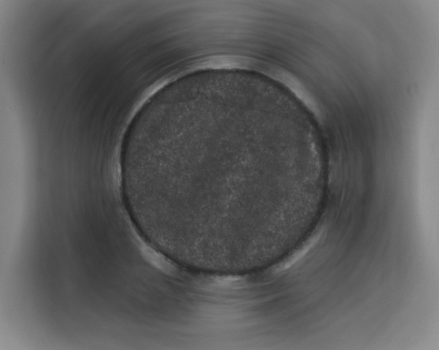 X0000113280837200910051039