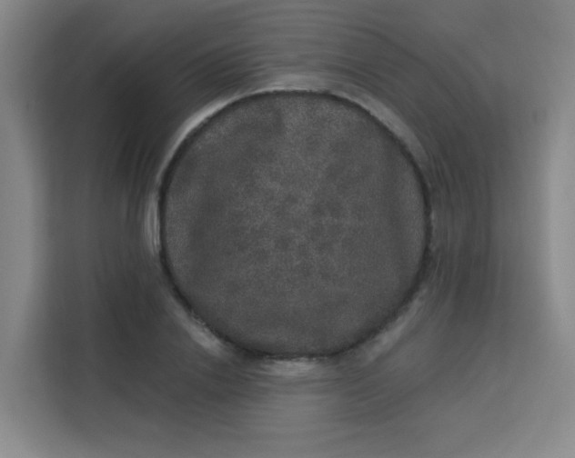 X0000113280838200910051039