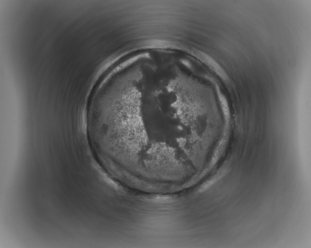 X0000113280839200910051039