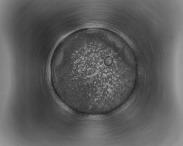 X0000113280840200910051039